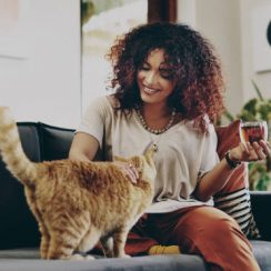 Comment s’occuper d’un chat en appartement ?