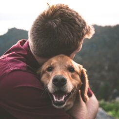 La sensibilité des animaux à la musique : mythe ou réalité ?