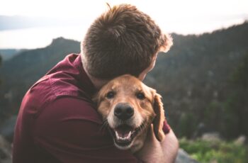 La sensibilité des animaux à la musique : mythe ou réalité ?