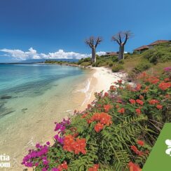 Madagascar : une île aux mille trésors naturels et animaliers